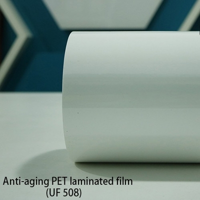 120 film laminato ANIMALE DOMESTICO di resistenza agli'agenti atmosferici 0.12mm del micron