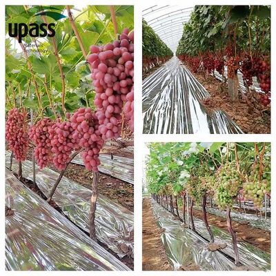 Strength PET Laminated Reflective Aluminum Foil Roll Agriculture Film Plastic Mulch Ground Covering Fruit Trees Cherries Blow
