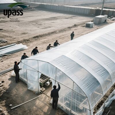 Rotolo di film per serre agricole, anti-UV, impermeabile, in plastica iniettata