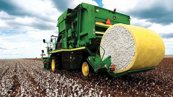 Stabilità superiore Cotton Picker 0,075 mm Film di imballaggio in polietilene