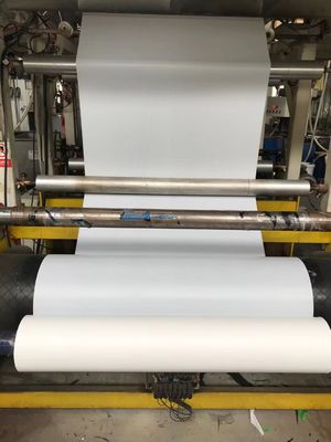 Tipo di trattamento UV fodera di rilascio rivestita di silicone di CPP per i prodotti autoadesivi